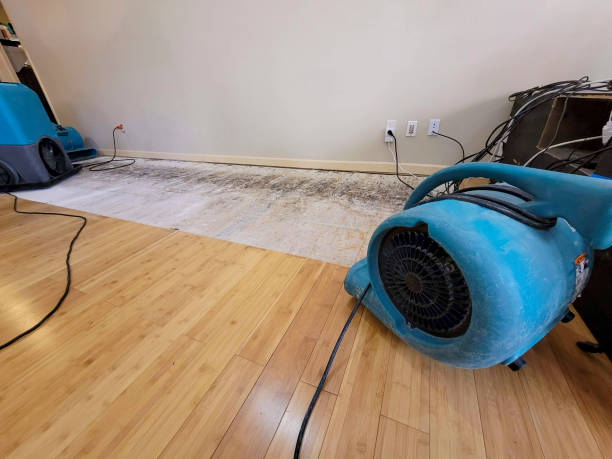 Professional Basement Flood Cleanup technician working in Granada Hills, CA